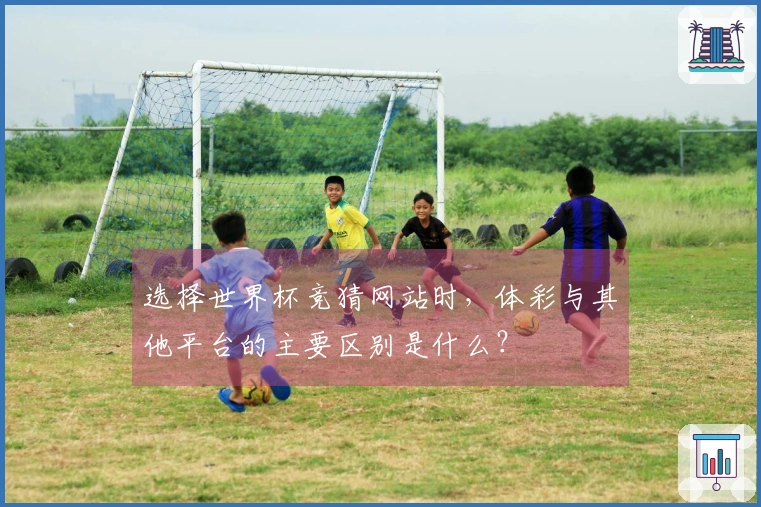 选择世界杯竞猜网站时，体彩与其他平台的主要区别是什么？