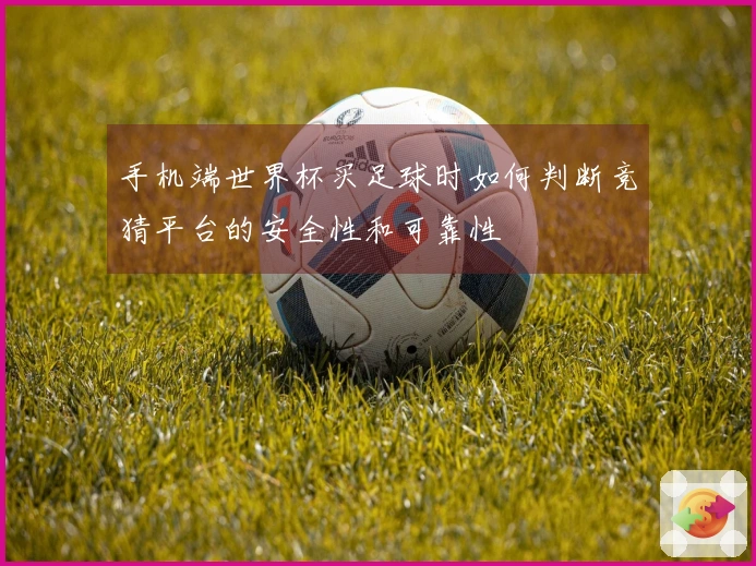 手机端世界杯买足球时如何判断竞猜平台的安全性和可靠性