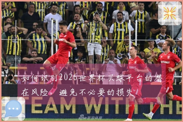 如何识别2026世界杯买球平台的潜在风险，避免不必要的损失