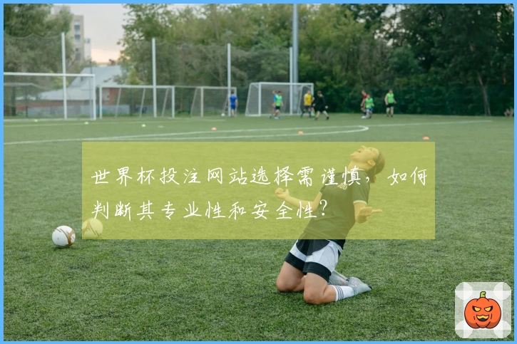 世界杯投注网站选择需谨慎，如何判断其专业性和安全性？