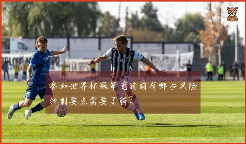 参加世界杯冠军竞猜前有哪些风险控制要点需要了解？