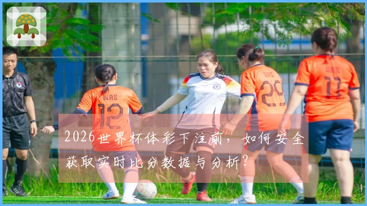 2026世界杯体彩下注前，如何安全获取实时比分数据与分析？