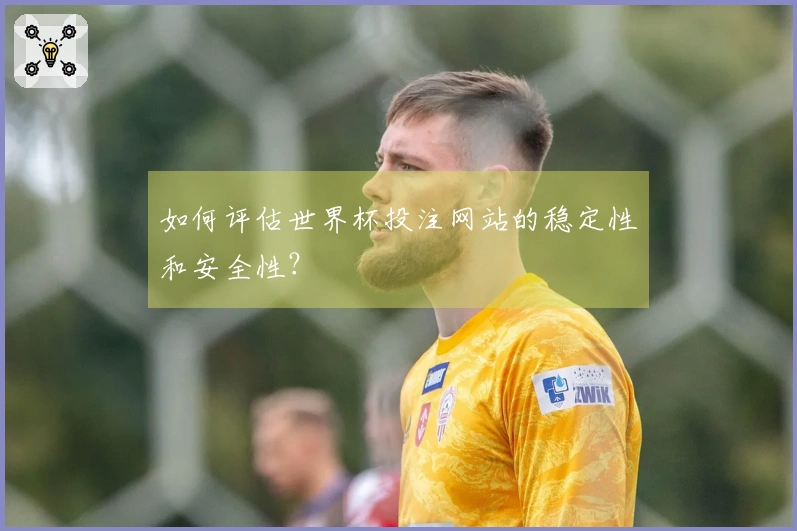 如何评估世界杯投注网站的稳定性和安全性？