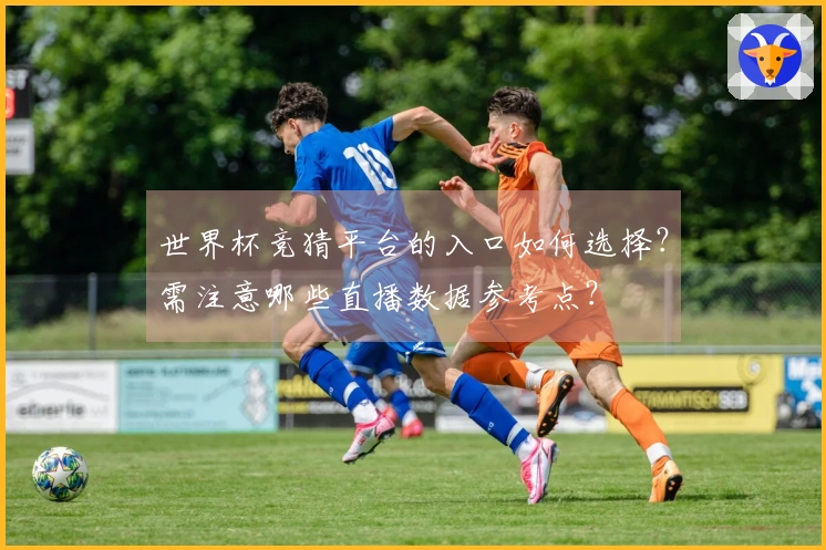 世界杯竞猜平台的入口如何选择？需注意哪些直播数据参考点？