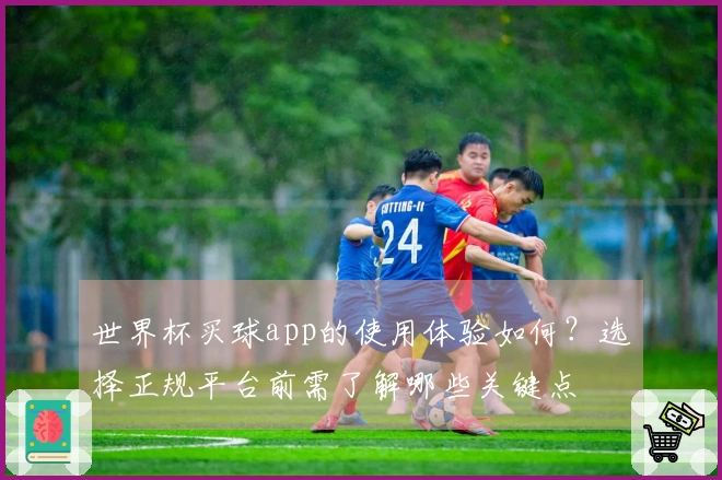 世界杯买球app的使用体验如何？选择正规平台前需了解哪些关键点