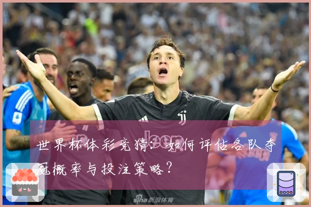 世界杯体彩竞猜：如何评估各队夺冠概率与投注策略？