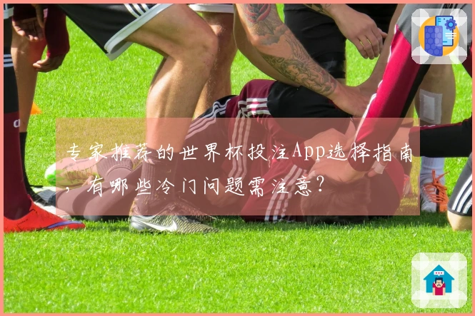专家推荐的世界杯投注App选择指南，有哪些冷门问题需注意？