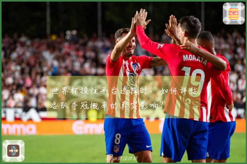 世界杯投注平台选择时，如何评估各队夺冠概率的真实影响？