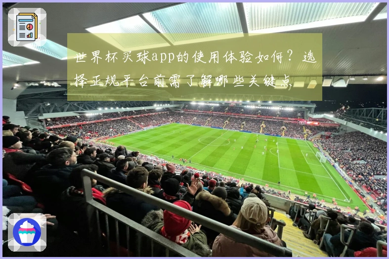 世界杯买球app的使用体验如何？选择正规平台前需了解哪些关键点