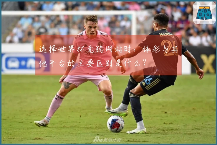 选择世界杯竞猜网站时，体彩与其他平台的主要区别是什么？