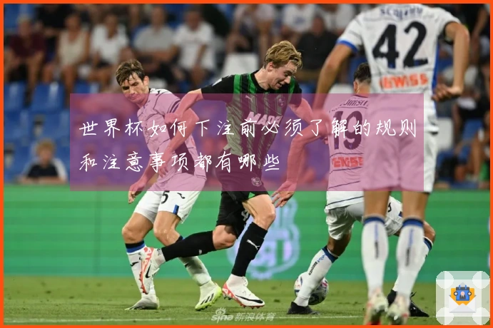世界杯如何下注前必须了解的规则和注意事项都有哪些