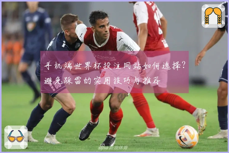 手机端世界杯投注网站如何选择？避免踩雷的实用技巧与推荐