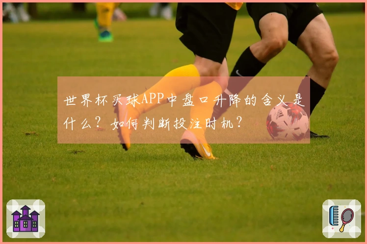 世界杯买球APP中盘口升降的含义是什么？如何判断投注时机？