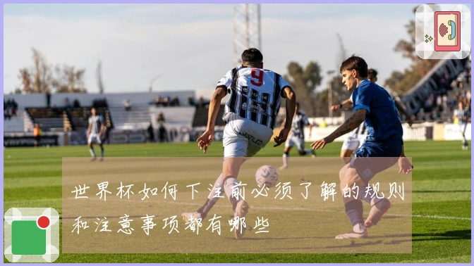 世界杯如何下注前必须了解的规则和注意事项都有哪些