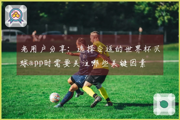 老用户分享：选择合适的世界杯买球app时需要关注哪些关键因素