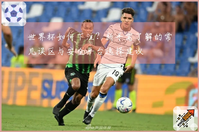 世界杯如何下注？新手需了解的常见误区与安全平台选择建议