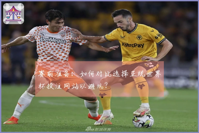 赛前准备：如何对比选择正规世界杯投注网站以避坑？