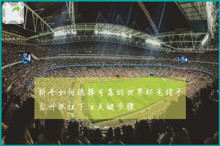新手如何选择可靠的世界杯竞猜平台并抓住下注关键步骤