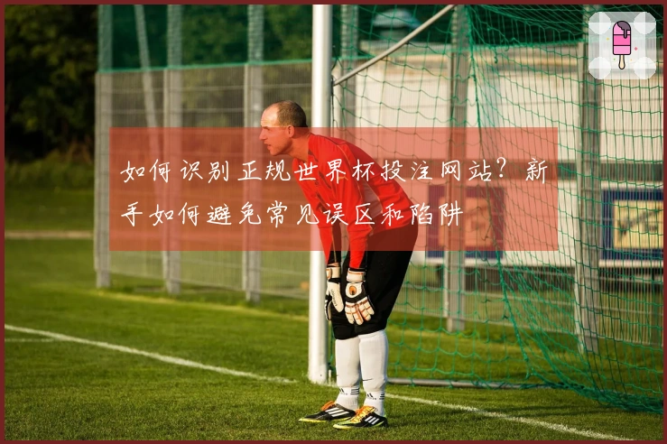 如何识别正规世界杯投注网站？新手如何避免常见误区和陷阱