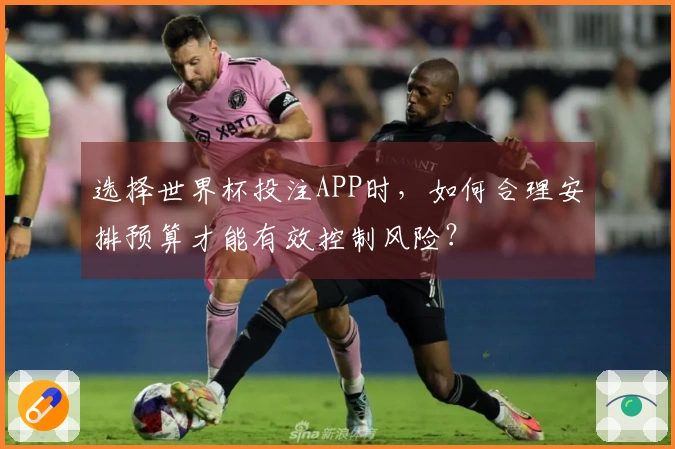 选择世界杯投注APP时，如何合理安排预算才能有效控制风险？