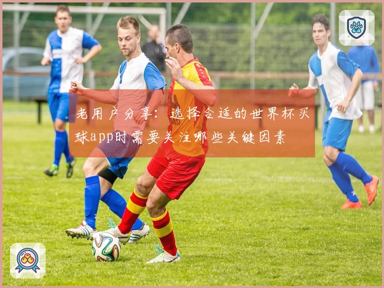 老用户分享：选择合适的世界杯买球app时需要关注哪些关键因素